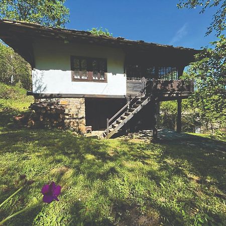 Guest House Cana Mihova Bozhenți Exterior foto